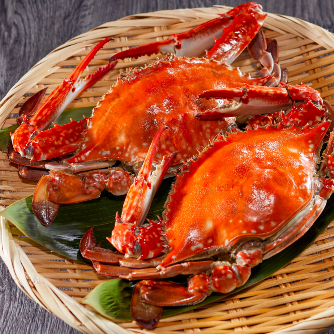 Thèm Hải Sản