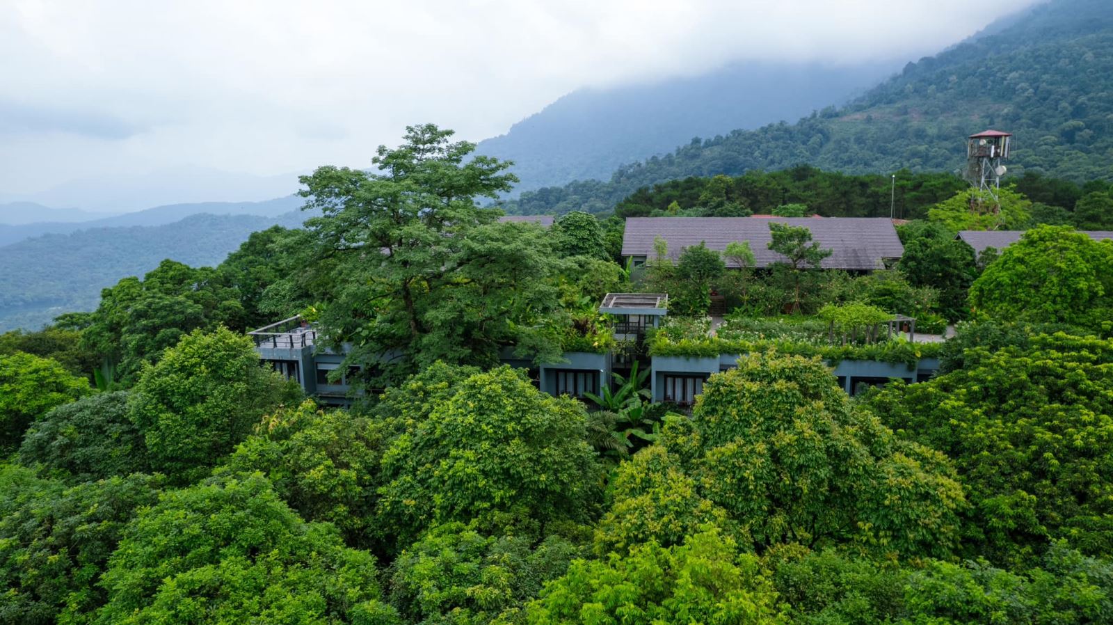 Amour Resort Bavi