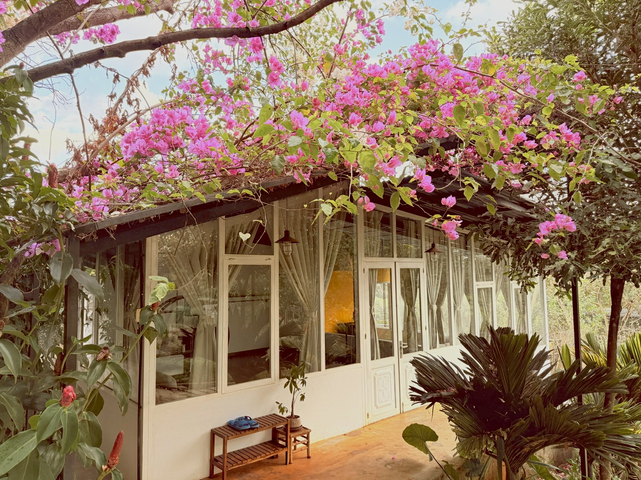An Nhiên Farmstay & Resort Pleiku - Gia Lai