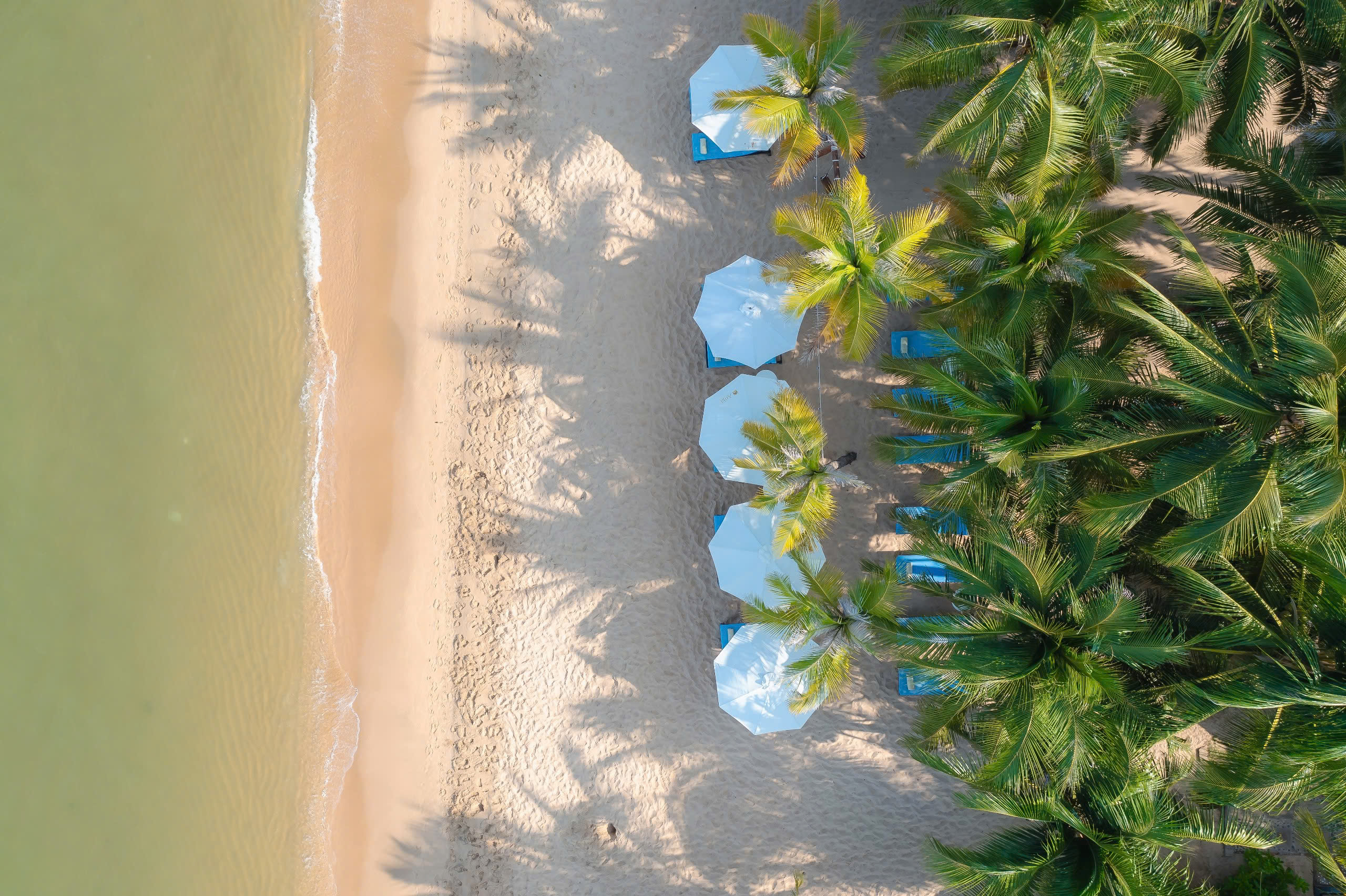 Anja Beach Resort & Spa 4