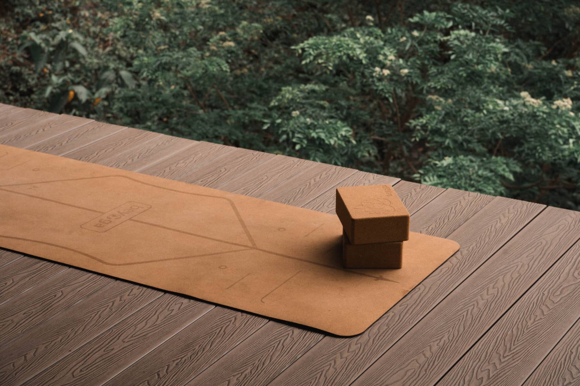 Auko – Eco-Wellness Lodges Phong Nha 3