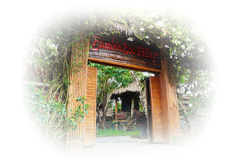 Bamboo Eco Village 5