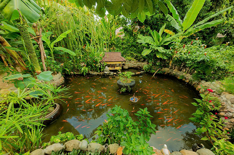 Bao Quynh Bungalow 5