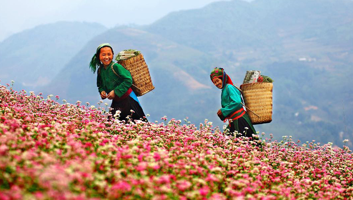 Cherry Sapa Hotel 3