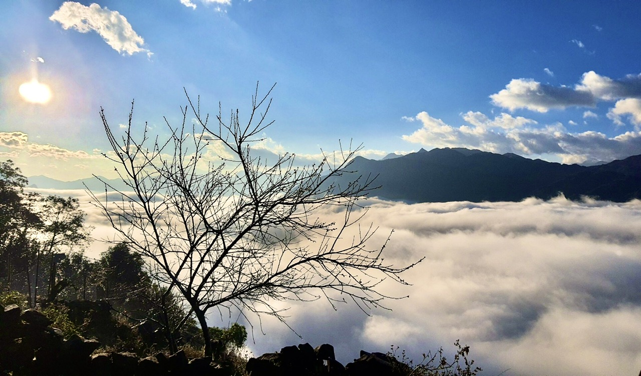 Cloud Mountain Home Sapa 2
