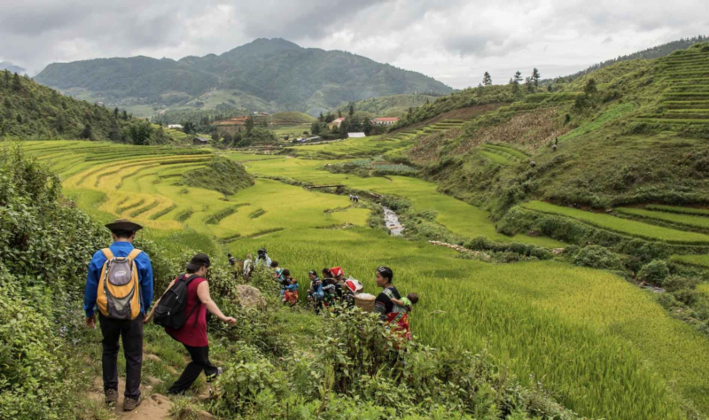 Cloud Mountain Home Sapa 5