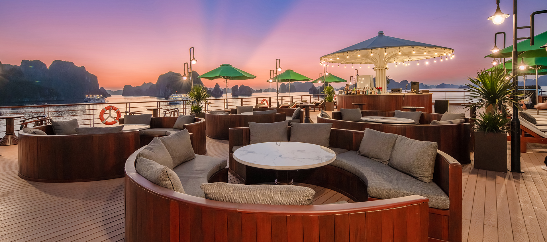 Cycad Cruise 6 Star 3