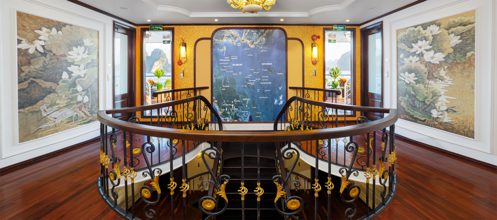 Cycad Cruise 6 Star 5