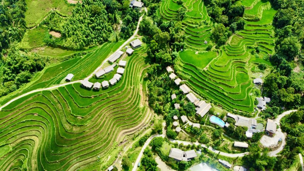 Dao Homestay
