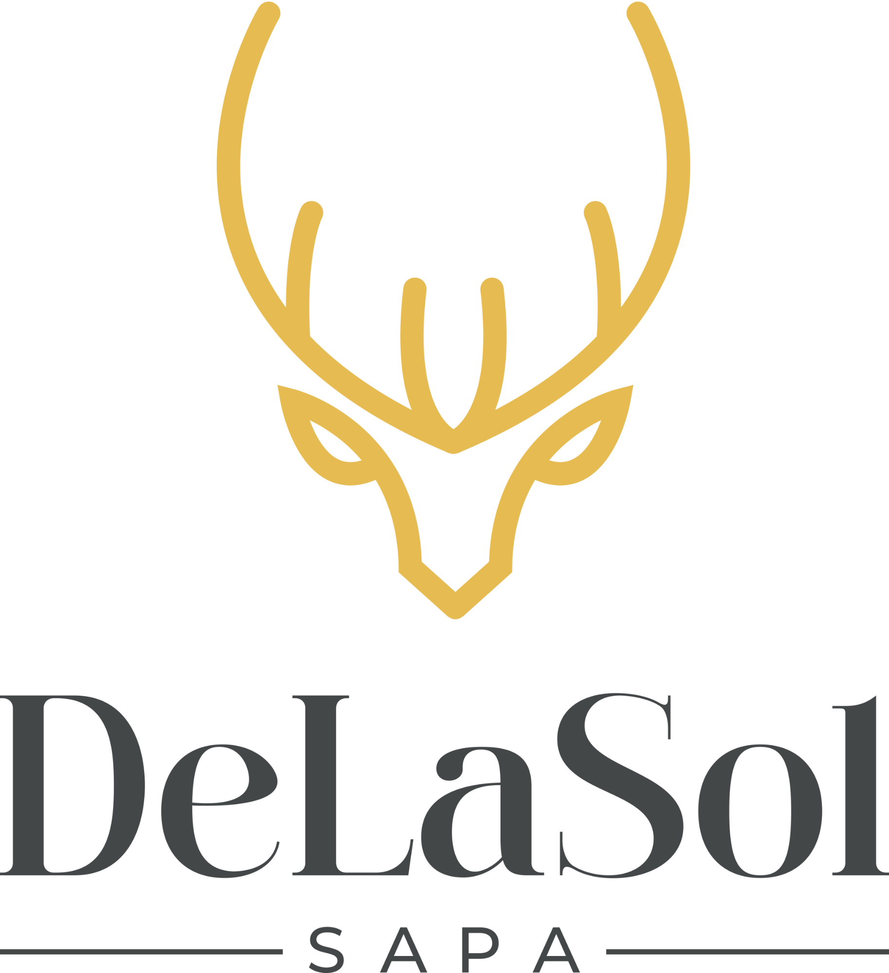 DeLaSol Sapa Hotel - Central Boutique Hotel