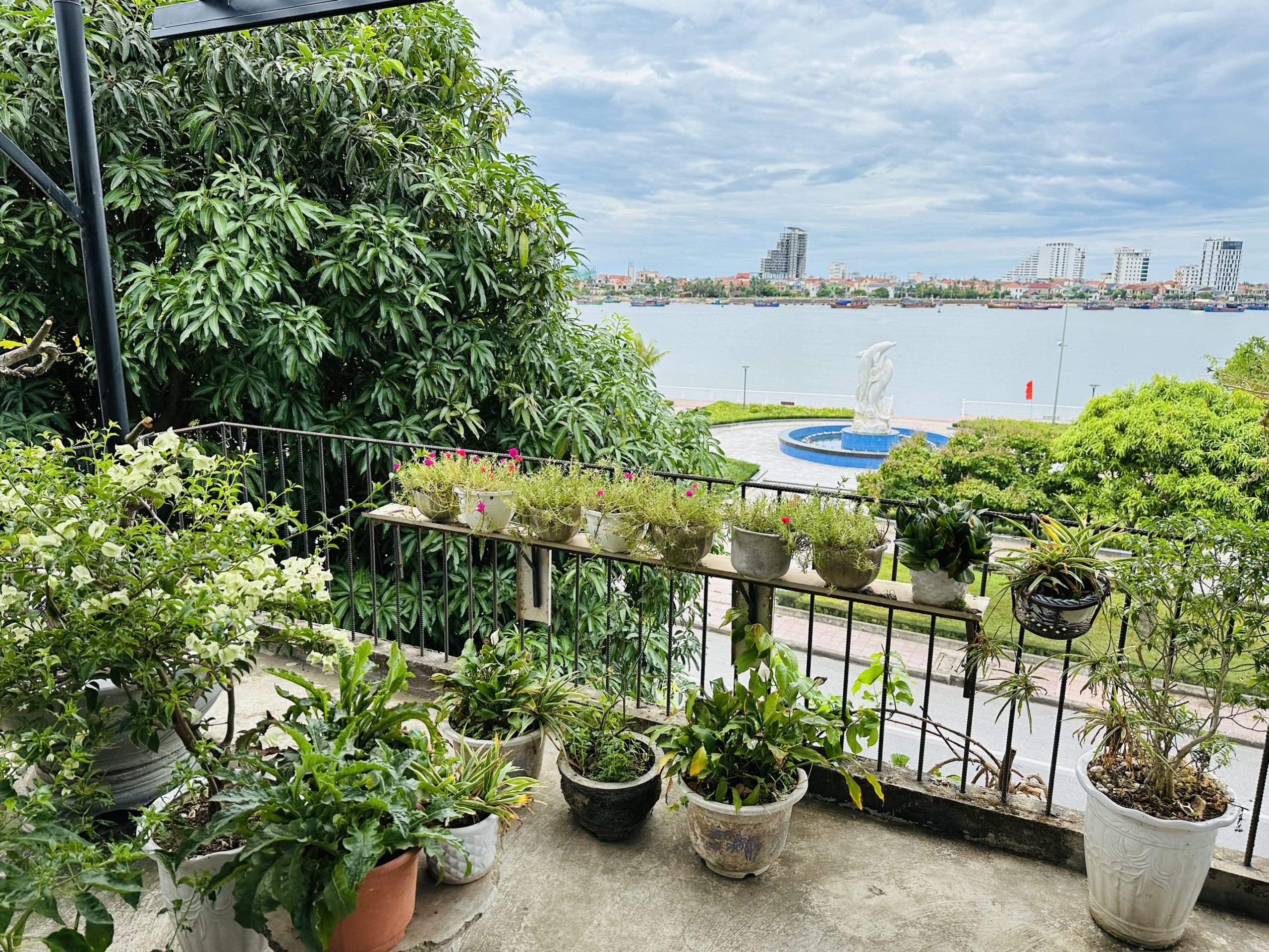 Dolphin Homestay 4
