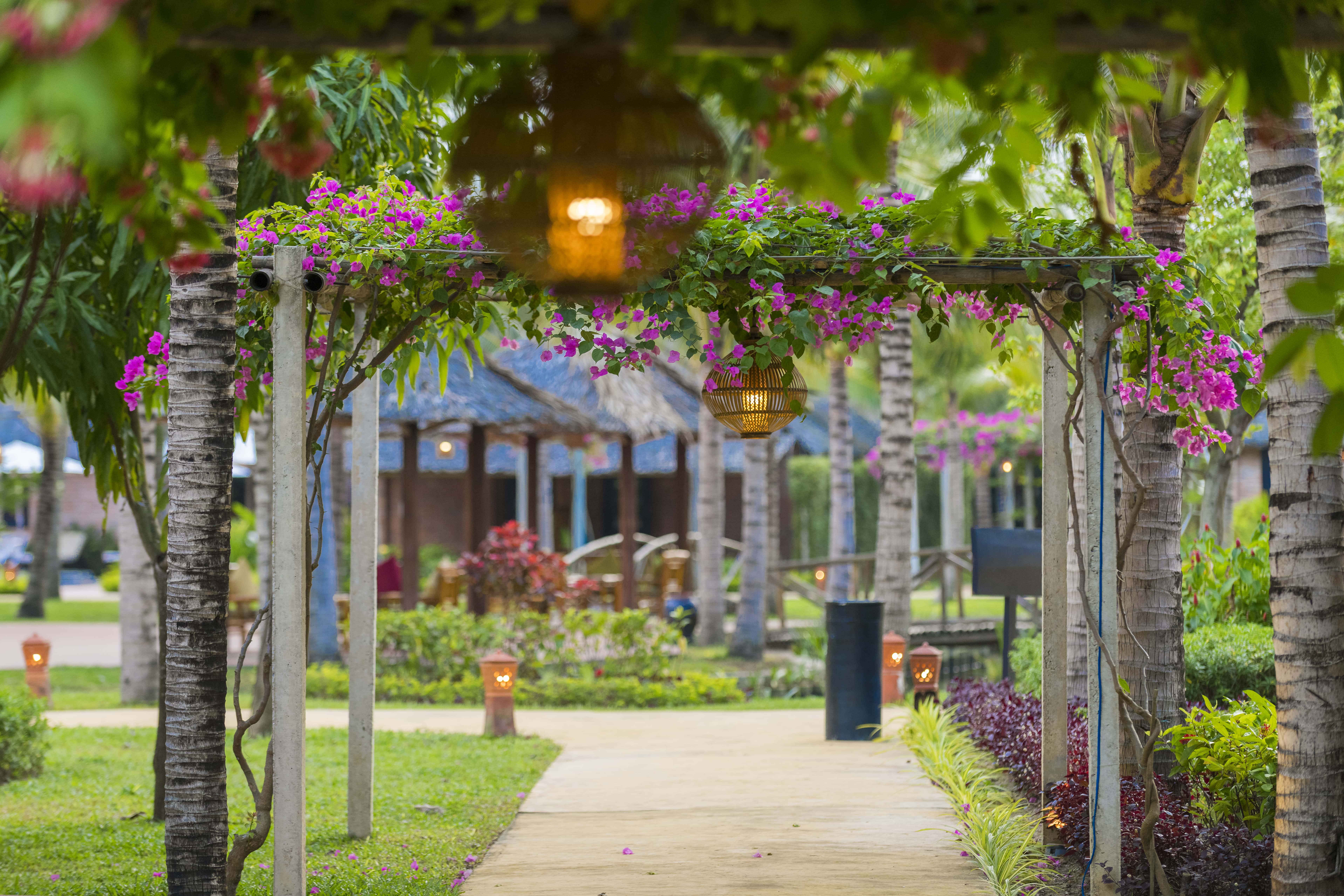 ENSO Retreat Hoi An - Rediscovery & Serenity 2
