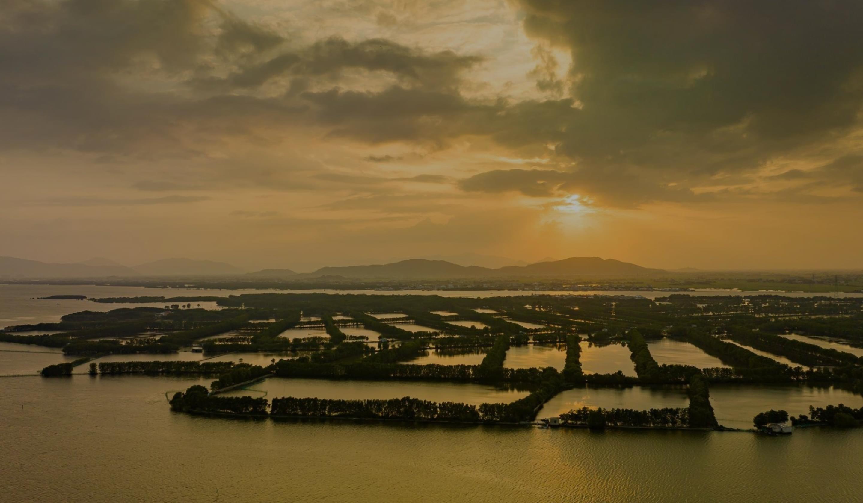 Fleur de Lys Resort & Spa Long Hai 4