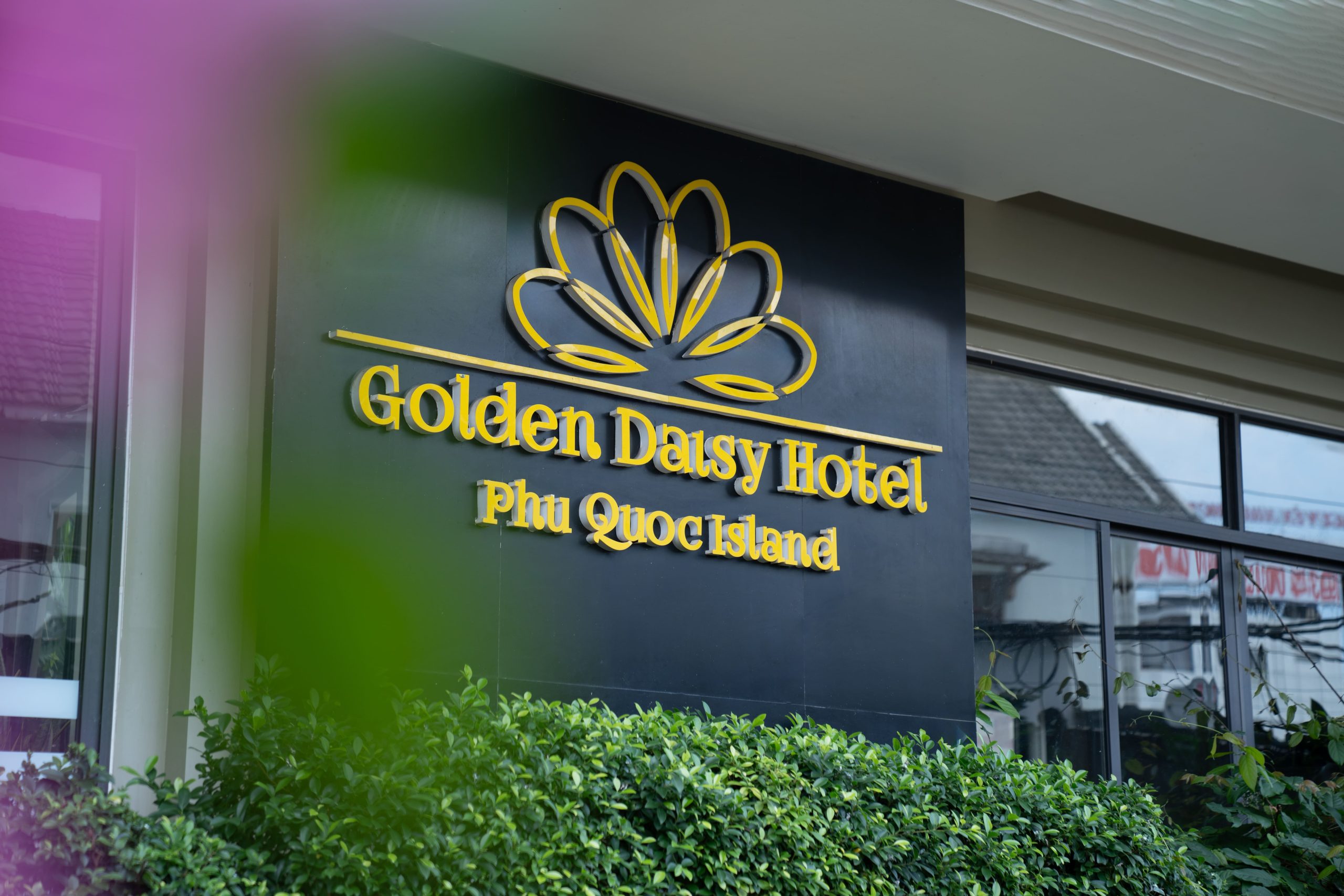 Golden Daisy Hotel 3