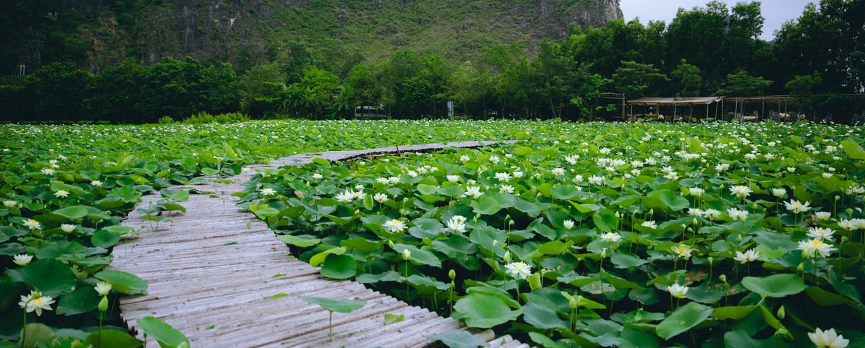 Halise Sanctuary Ninh Binh 2