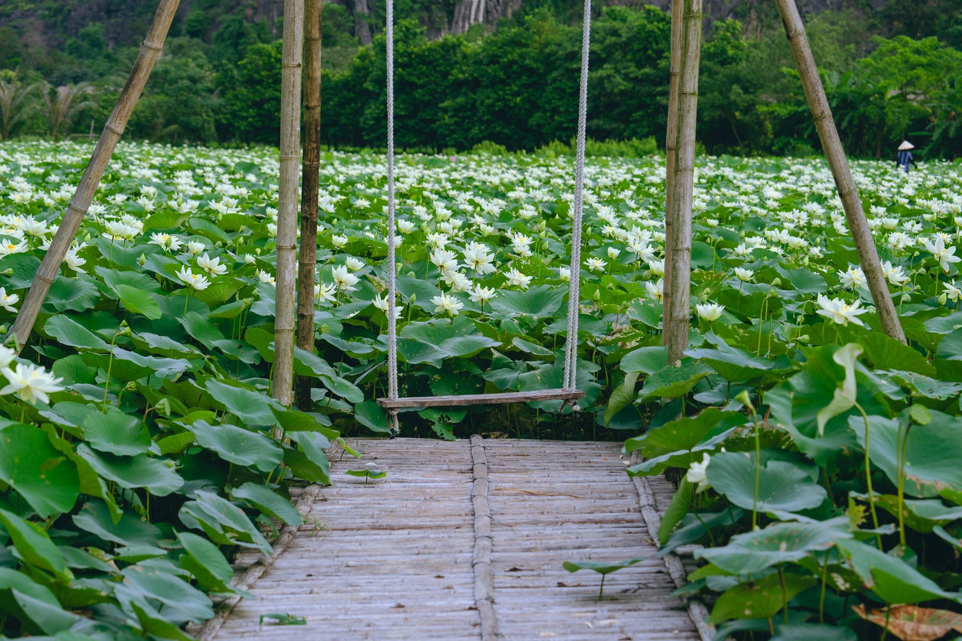 Halise Sanctuary Ninh Binh 4
