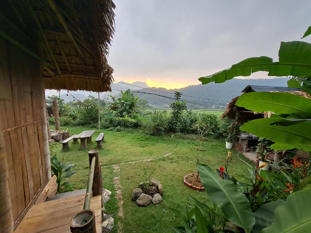 Homestay field (bungalow & tour & motorbikes rental)