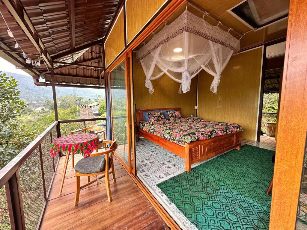 Homestay field (bungalow & tour & motorbikes rental) 2