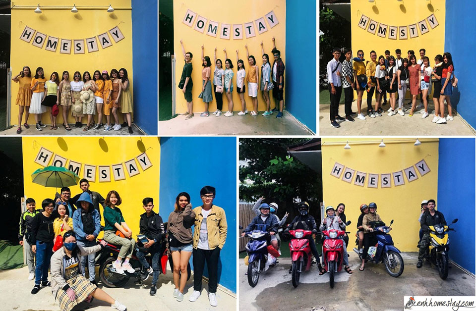 Homestay Studio