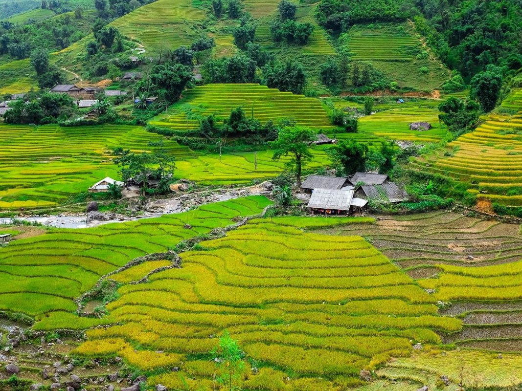 Hotel di Sapa 3