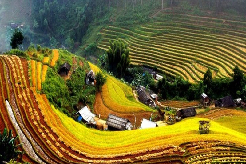Hotel di Sapa 4