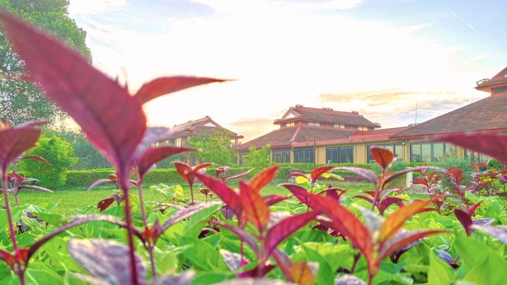 Hue Riverside Boutique Resort & Spa 5