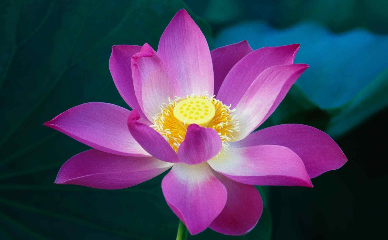 Khách Sạn Á Đông 2