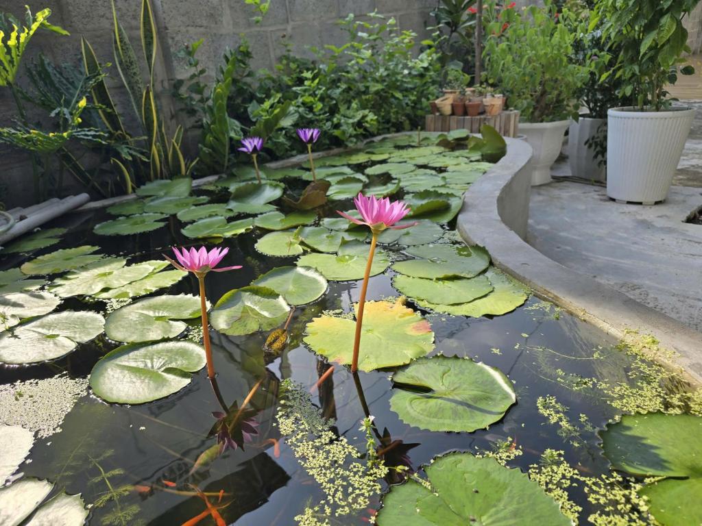 Lạc House Mui Ne