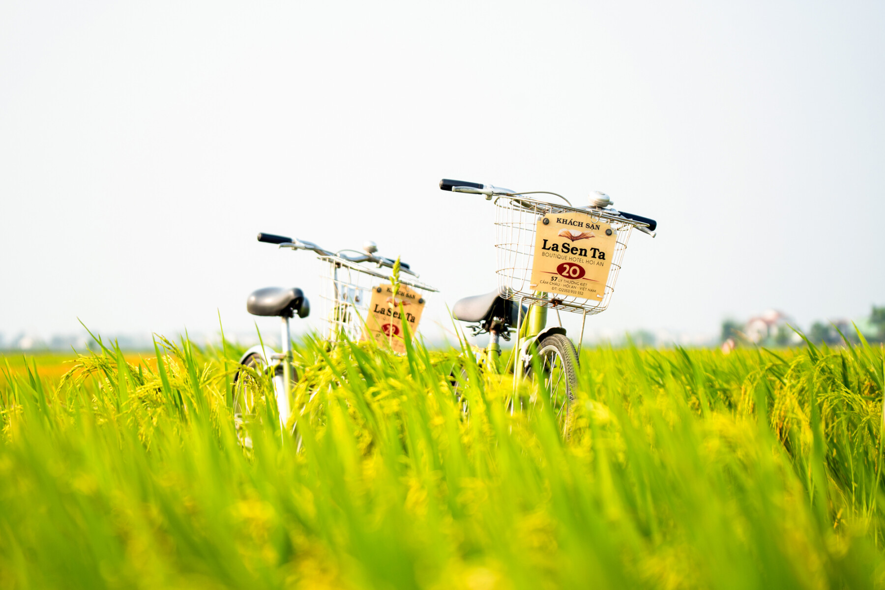 Lasenta Boutique Hotel Hoi An 3