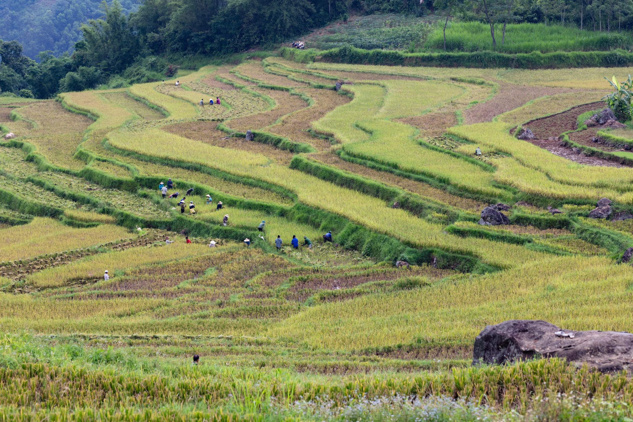 Mai Chau Lodge 4