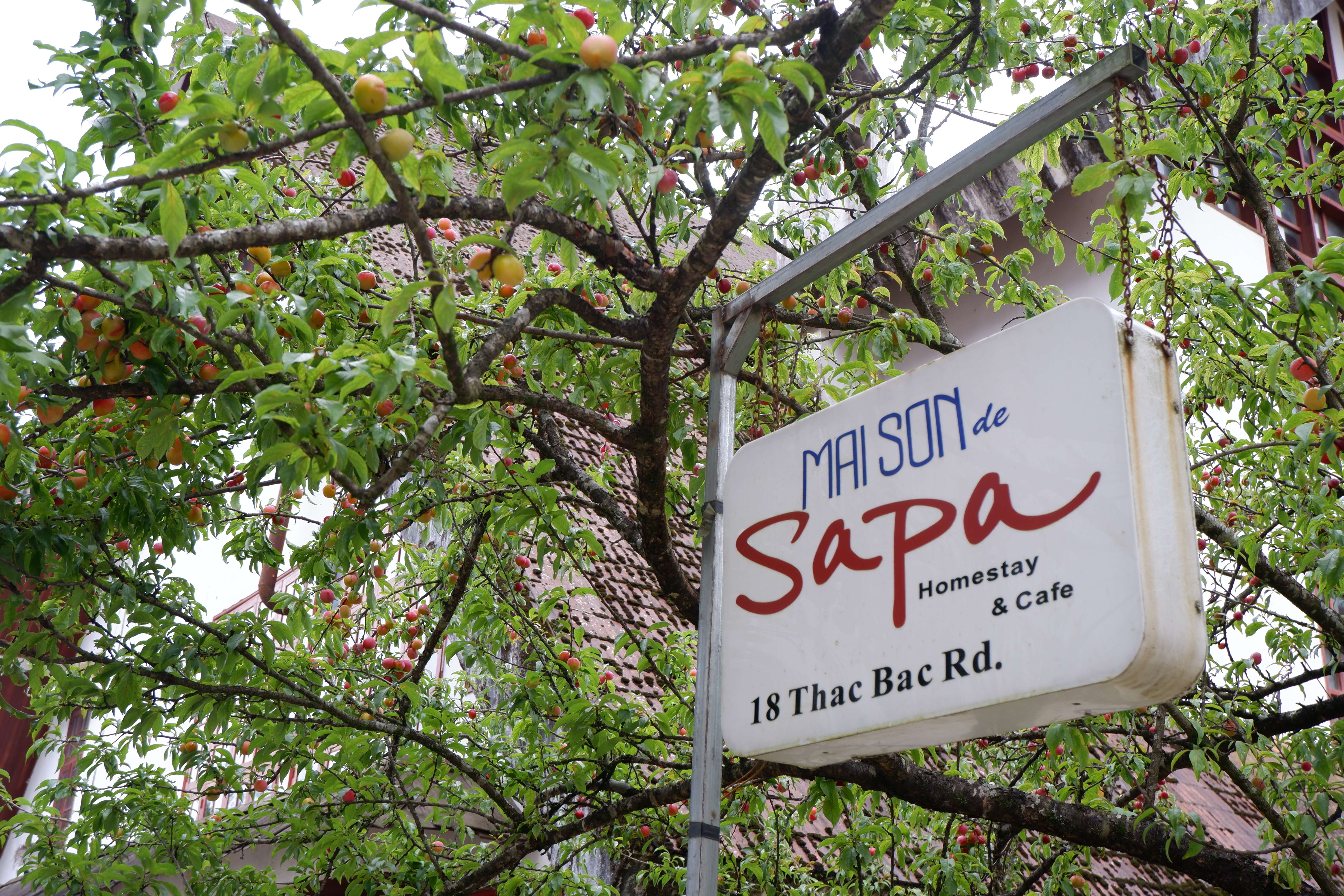 Maison de Sapa Homestay & Cafe 3