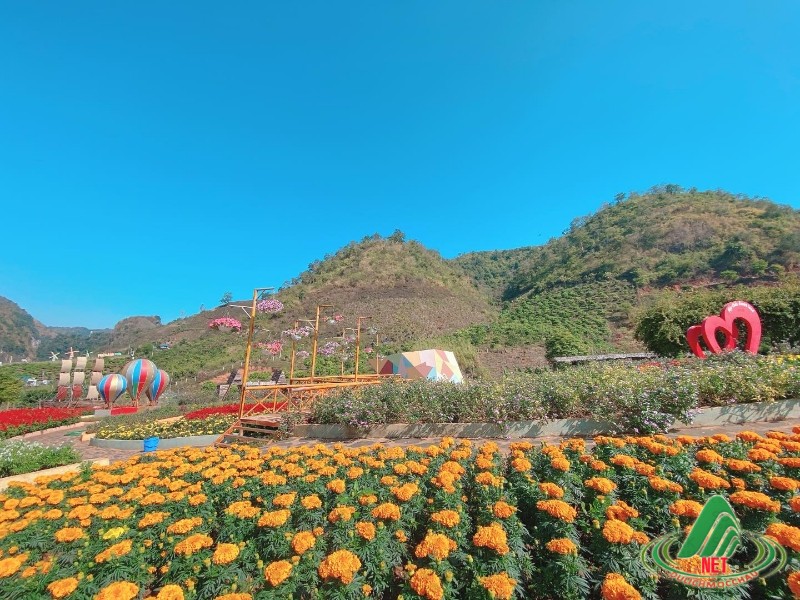Moc Moc Chau Homestay 5
