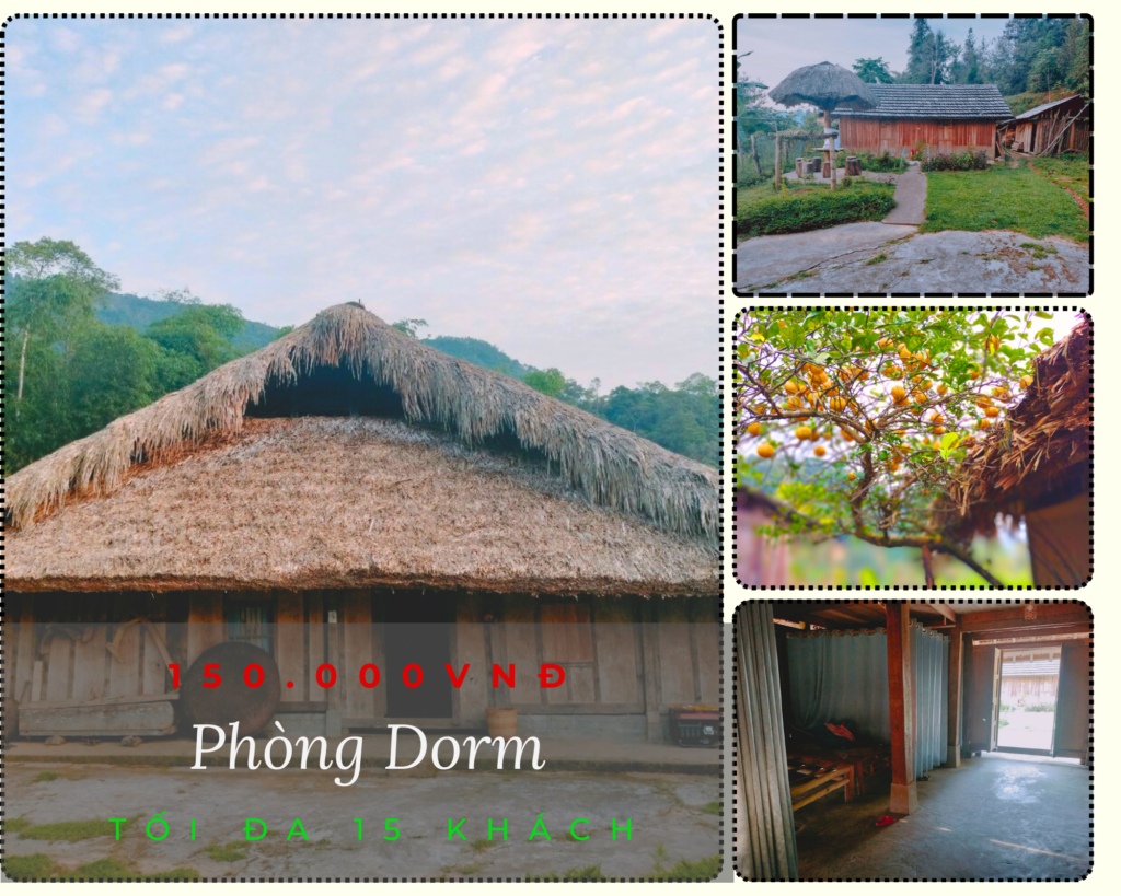 MÓNG NGỰA HOMESTAY _ Hoàng Su Phì 4