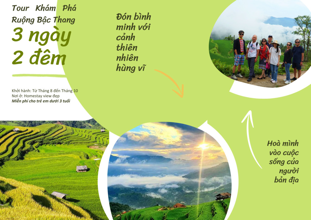MÓNG NGỰA HOMESTAY _ Hoàng Su Phì 5