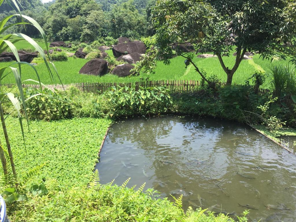 mr'luyen homestay