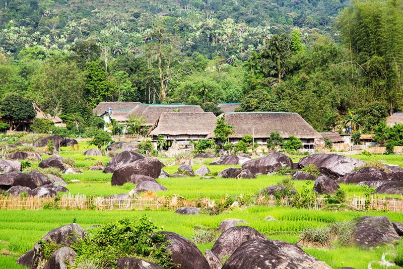 mr'luyen homestay 4