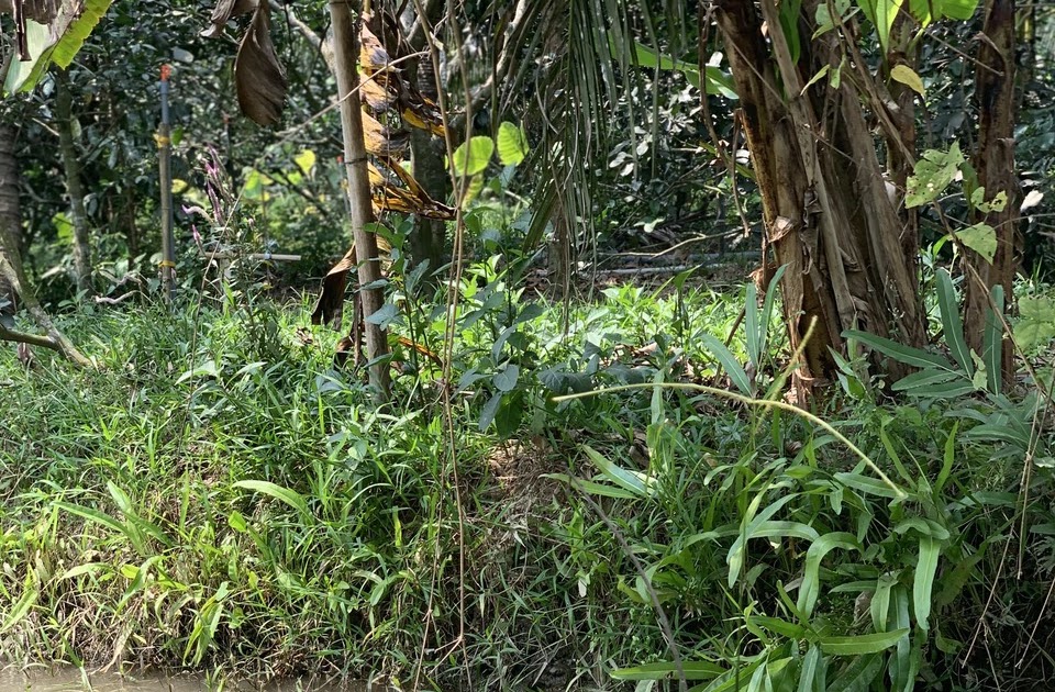Nghênh Xuân FarmStay