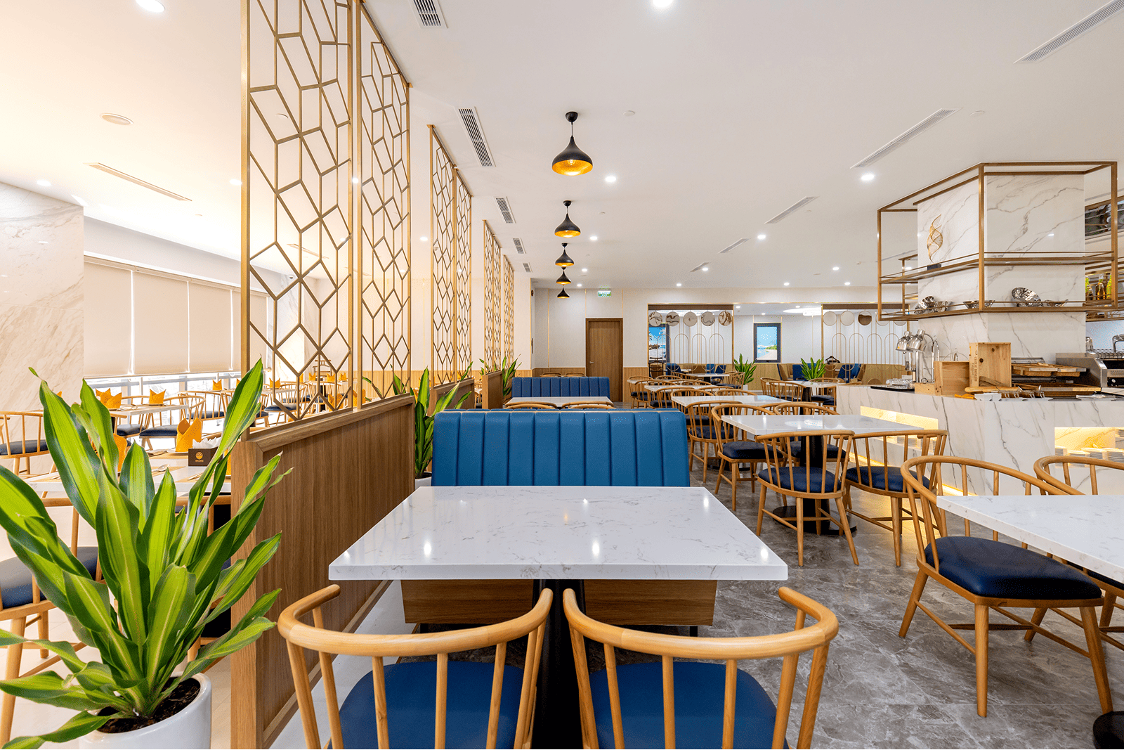 Petro House 4