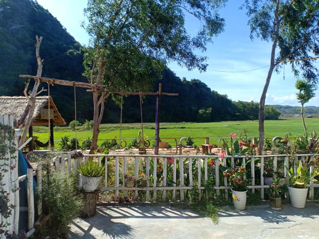 Phong Nha Rice Field Homestay 2