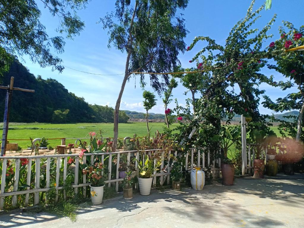 Phong Nha Rice Field Homestay 3
