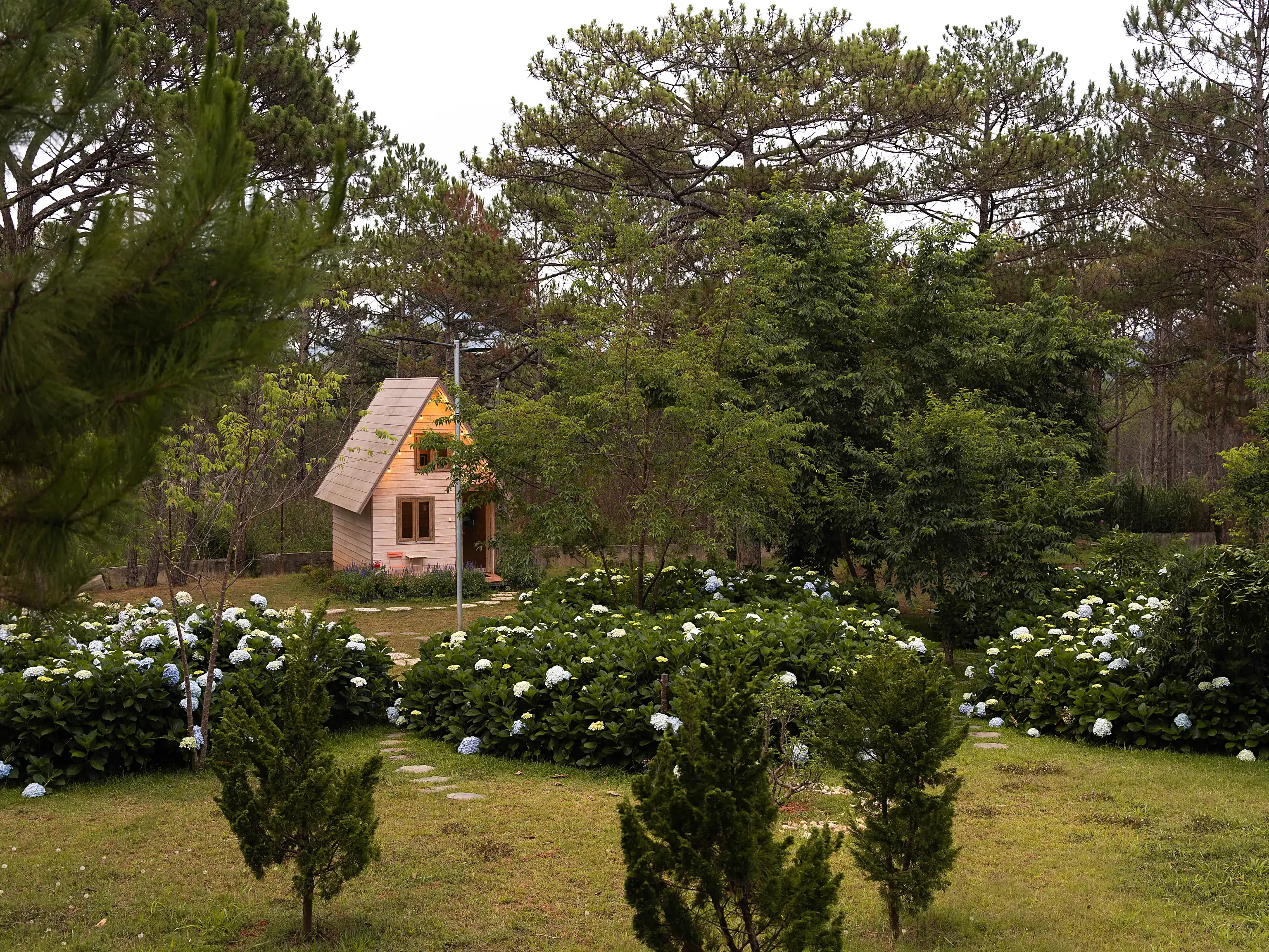Rừng Lá Kim Resort 2