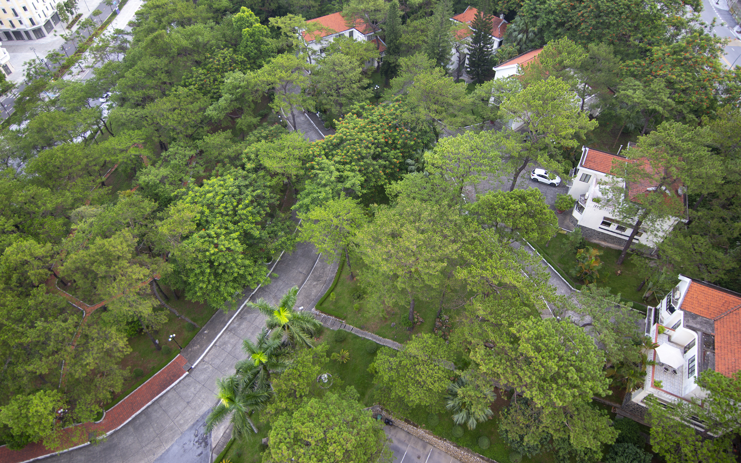 Saigon Halong Hotel 3