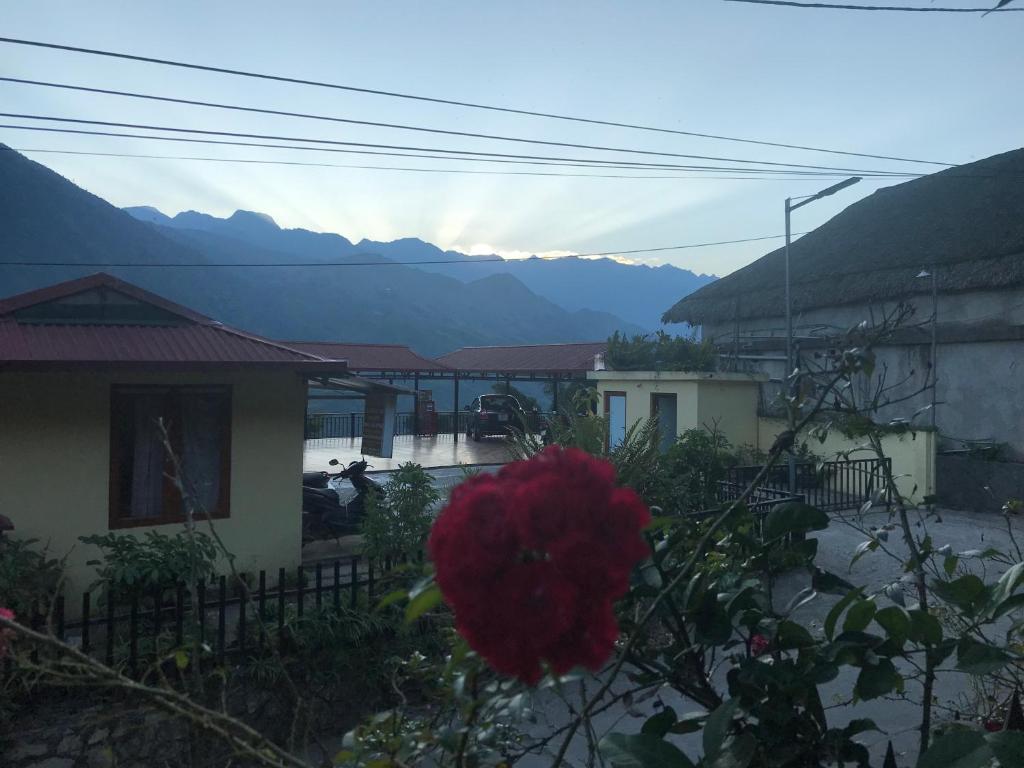 Sáu Mèo Mountain View 3