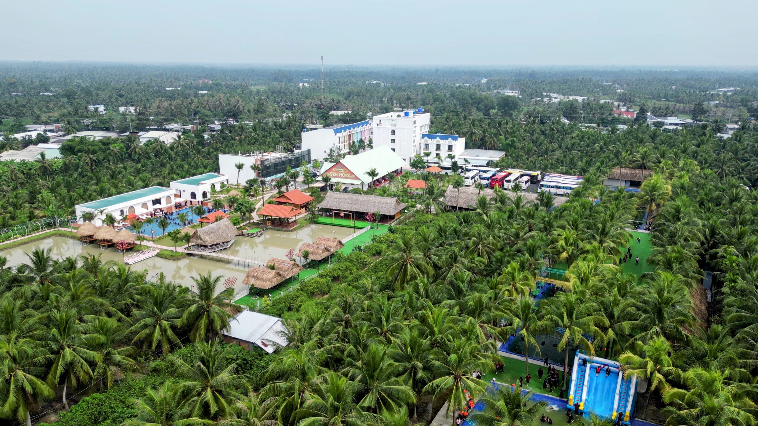 Sen Hong Town Bến tre 3