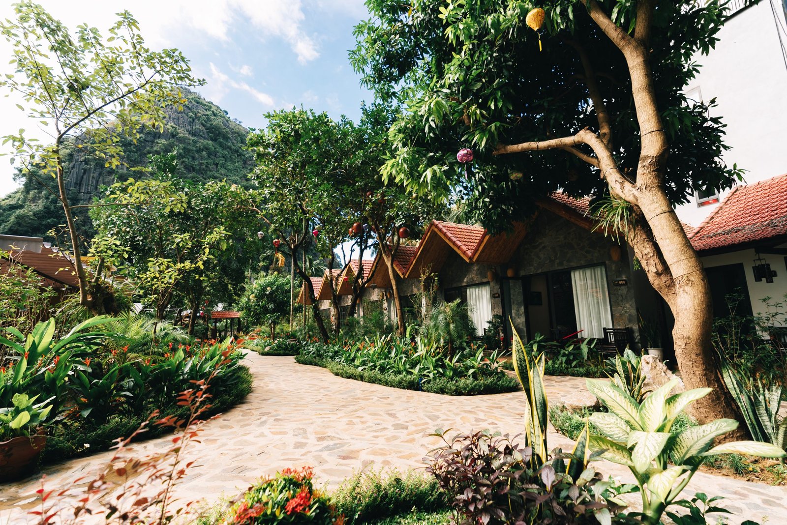 Tam Coc Valley Eco Resort 4
