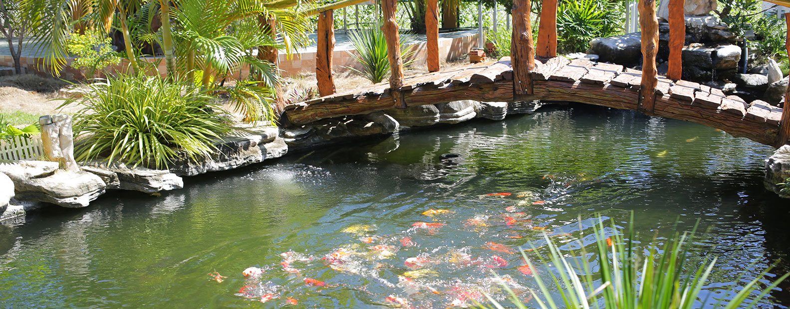 The Lana Hồ Tràm Homestay 3