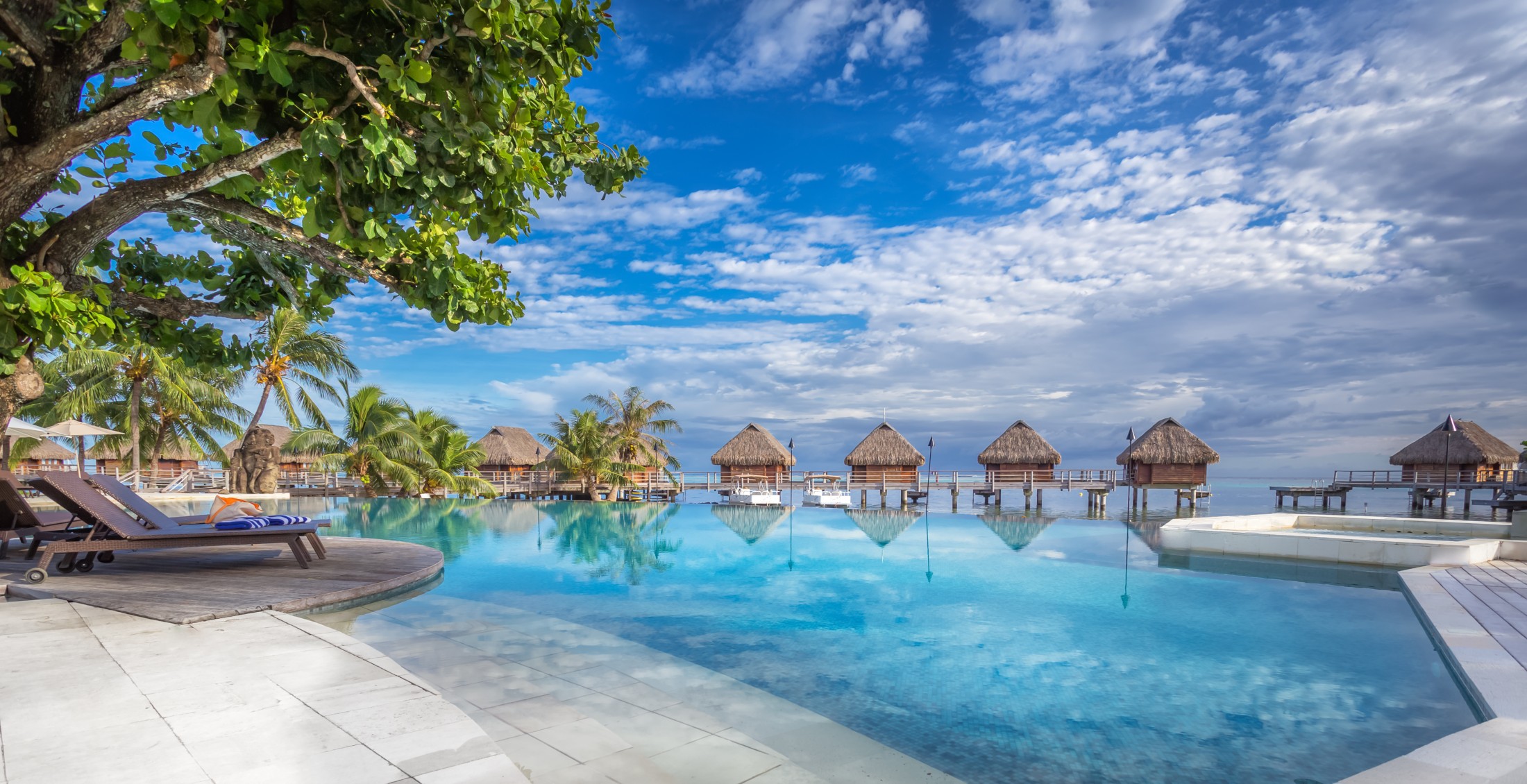 The Palm Villa 2 Đà Lạt 5