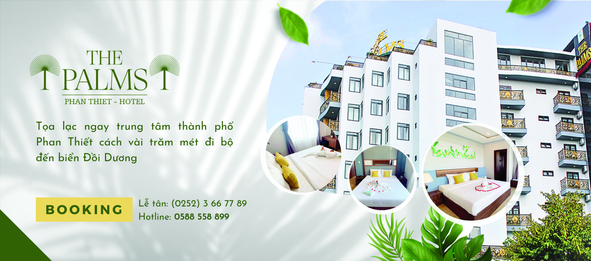 The Palms 2