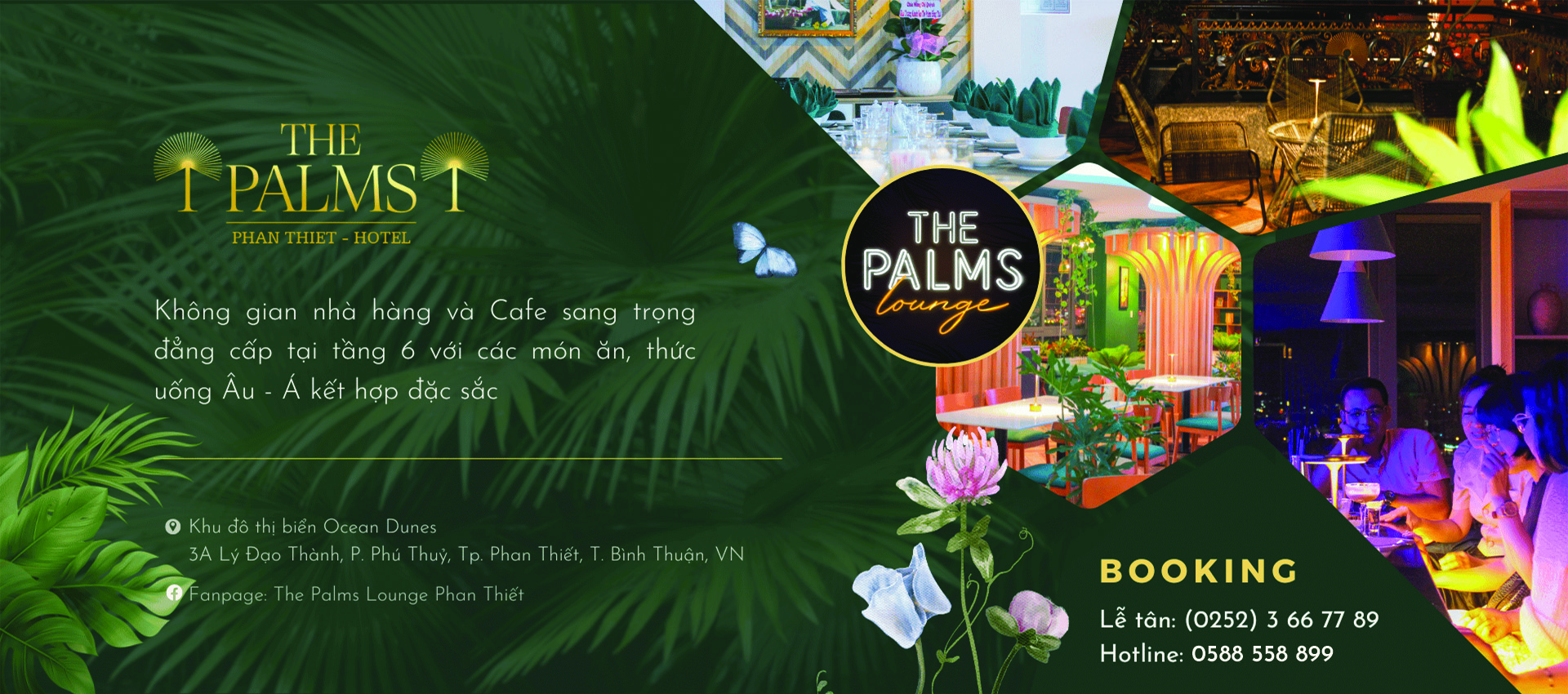The Palms 3