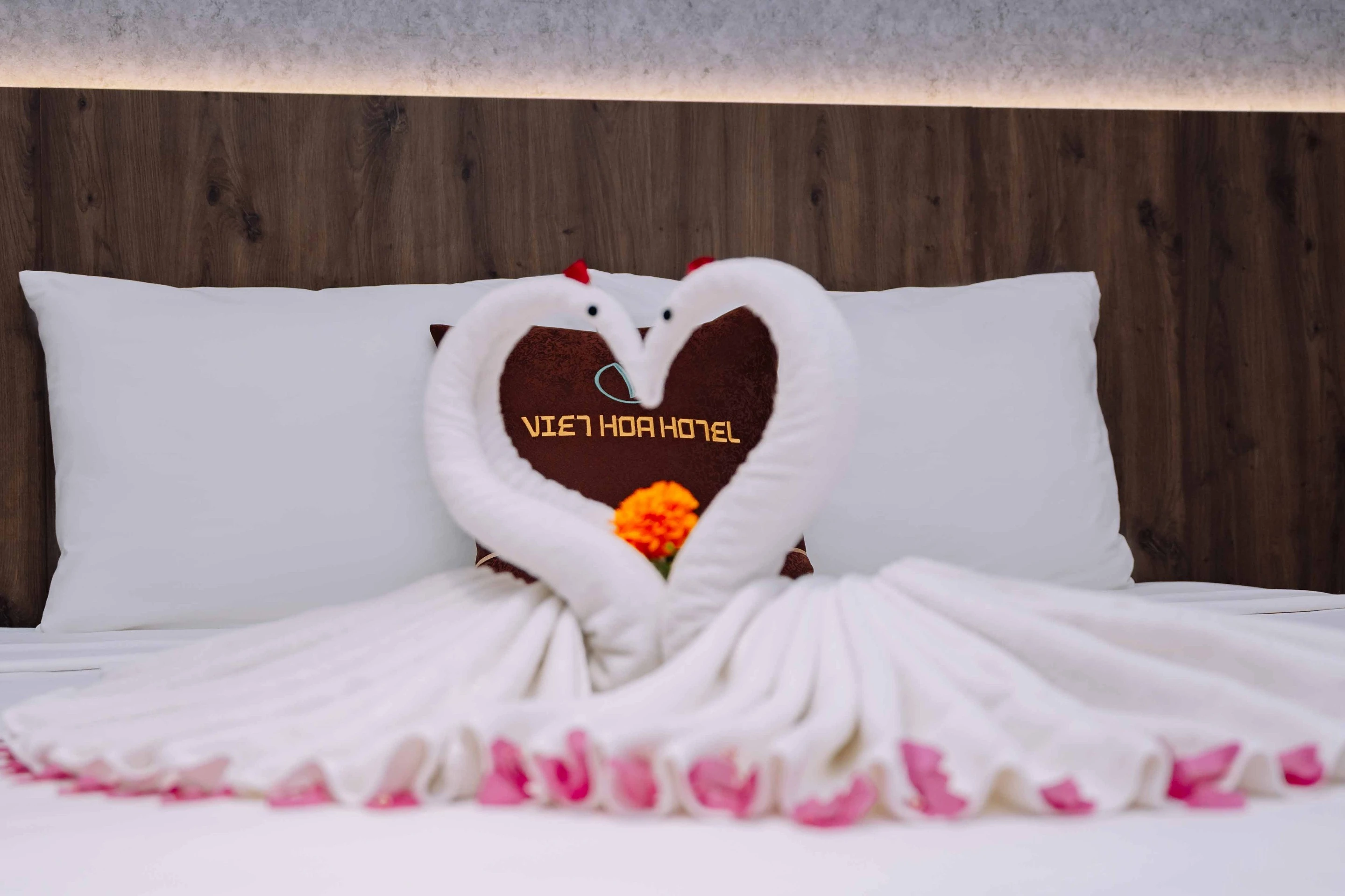 Viet Hoa Hotel & Residence Cat Ba – Rooftop Pool 4
